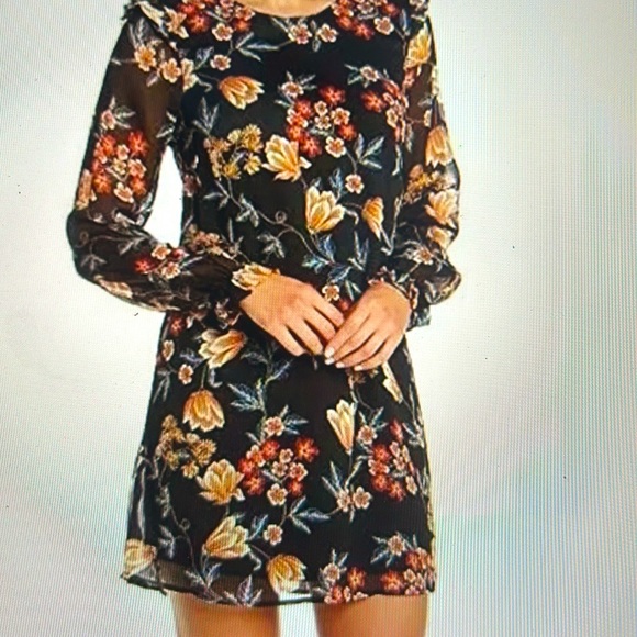 Sheer shift dress with lining - Picture 5 of 5